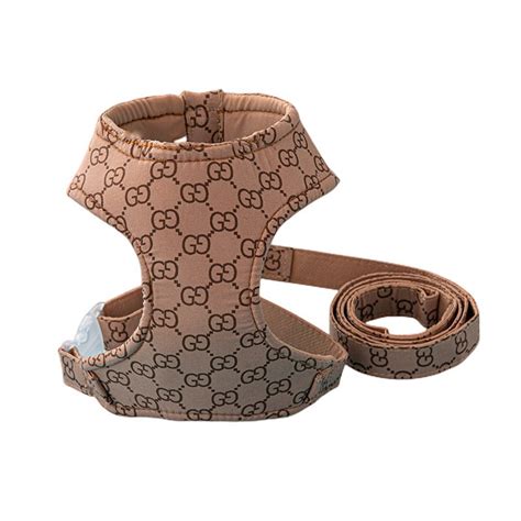 gucci pour chien